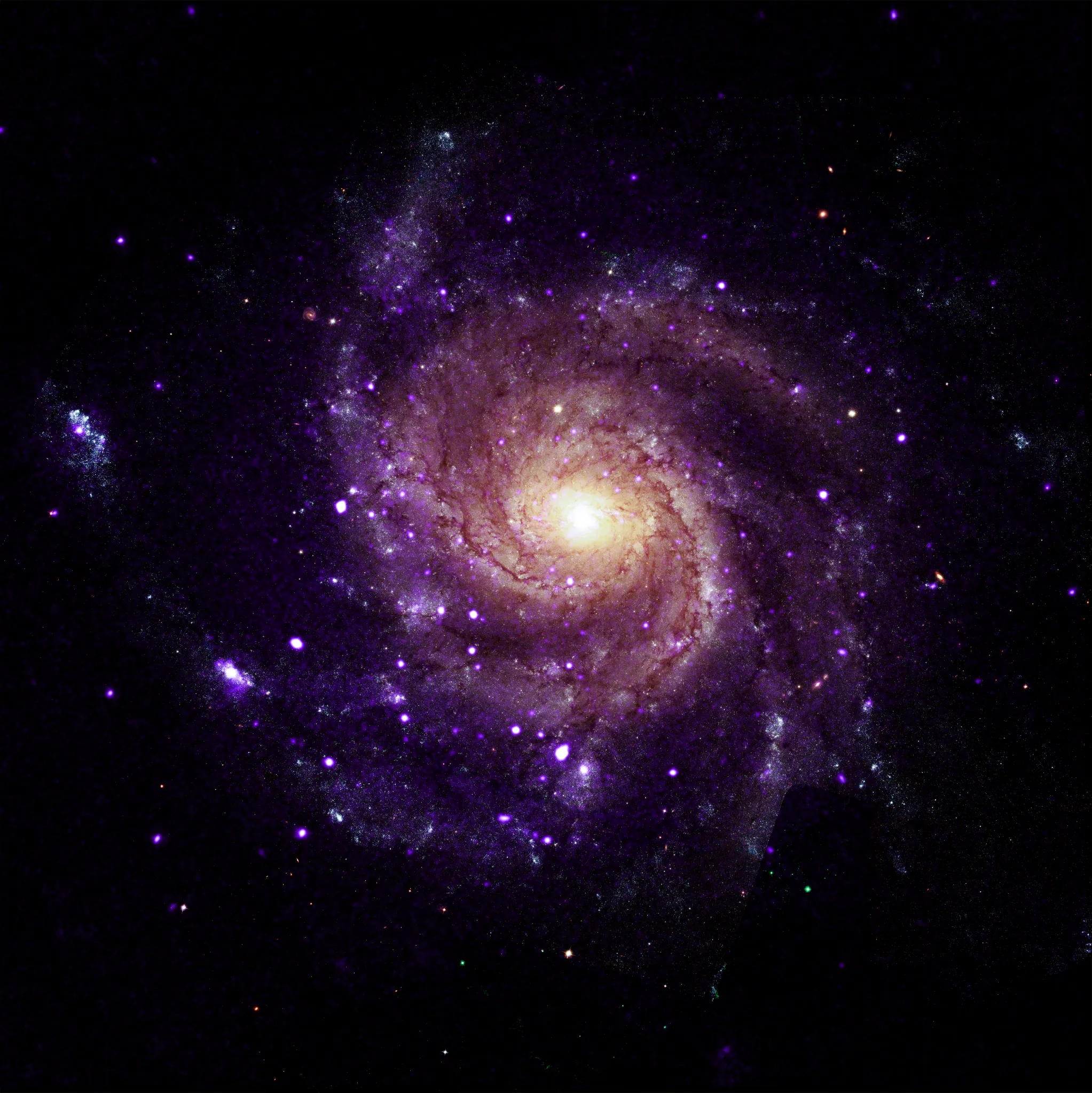 NASA’s Chandra Finds Unusual Objects in Pinwheel Galaxy