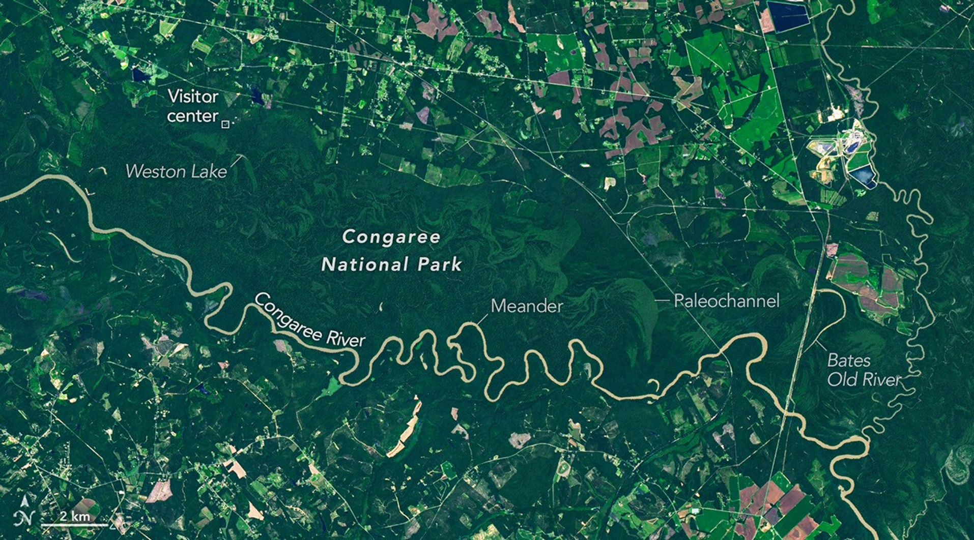 Orbital Analysis: The Congaree Forested Floodplains