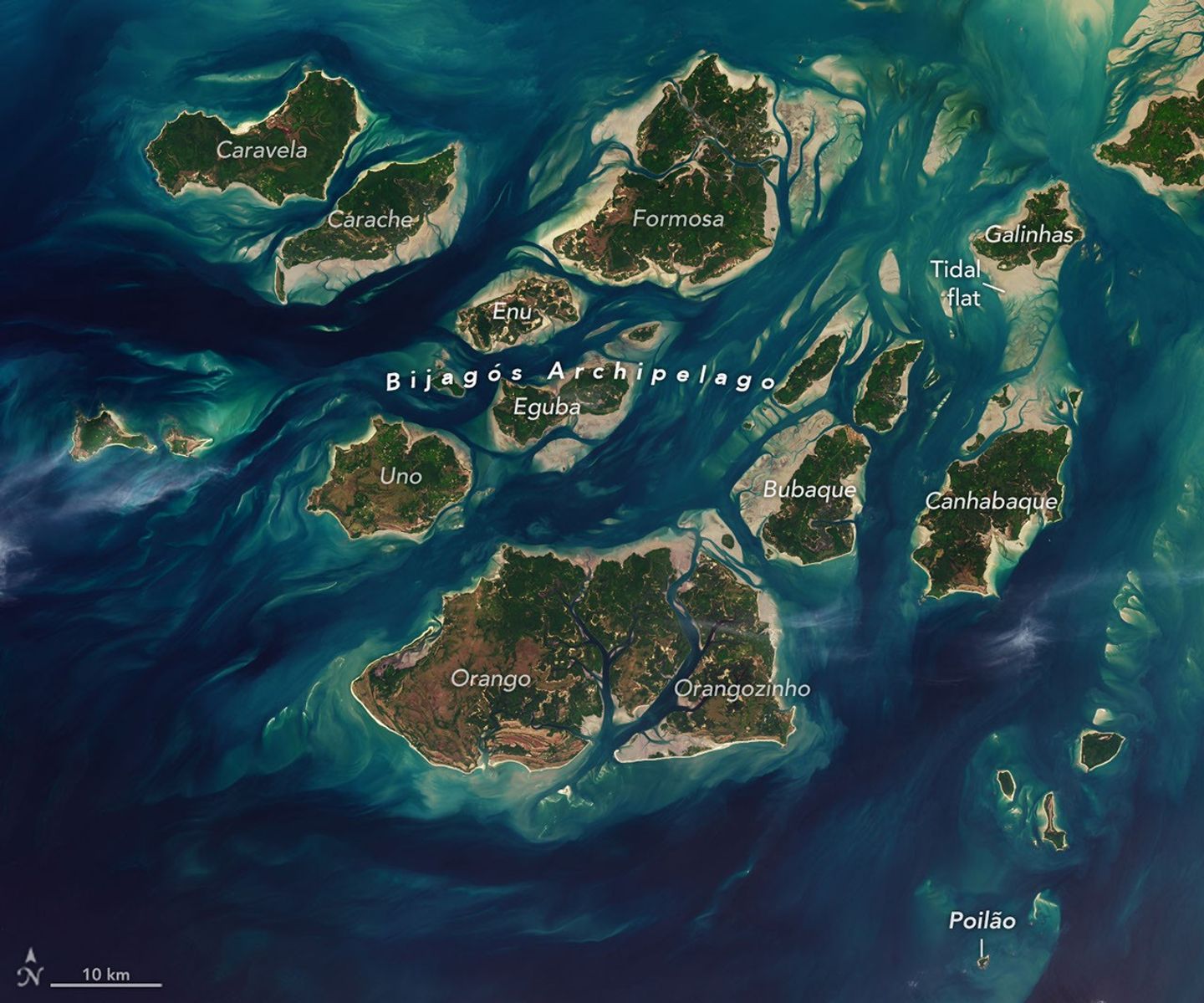A Tide-Fueled Trove of Biodiversity in Guinea-Bissau
