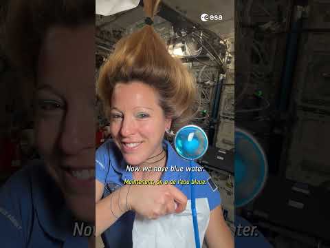 Orbital Fluid Dynamics: Candy Dispersion in Microgravity