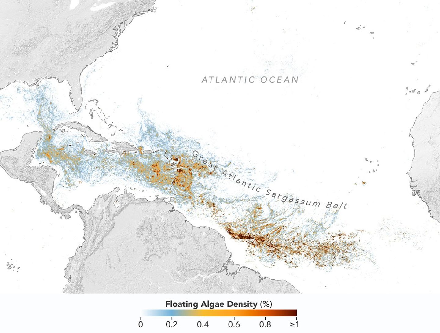 Sizing Up the Sargassum Belt
