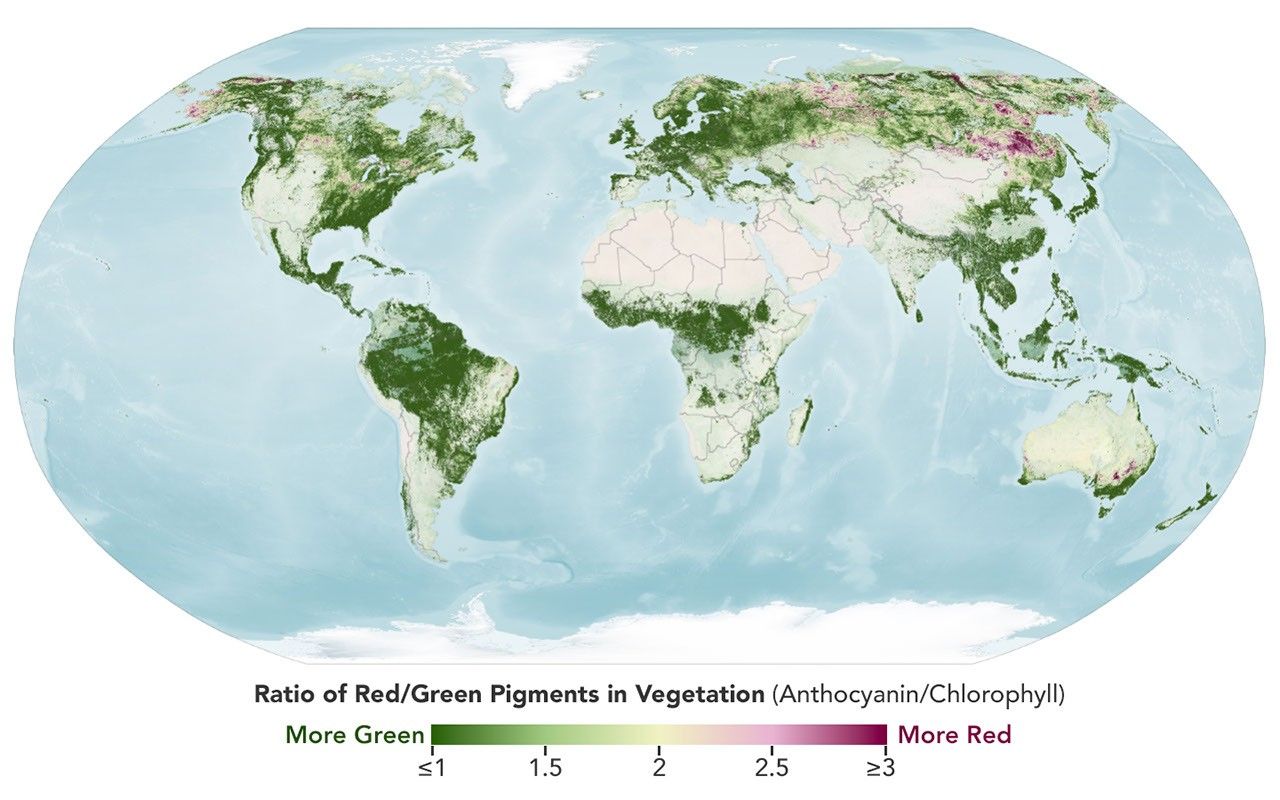 Orbital Bio-Surveillance: Satellite Sensors Track Global Foliage Shift