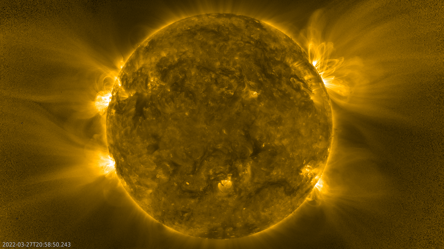 Solar Orbiter Decodes Magnetic Switchback Origins