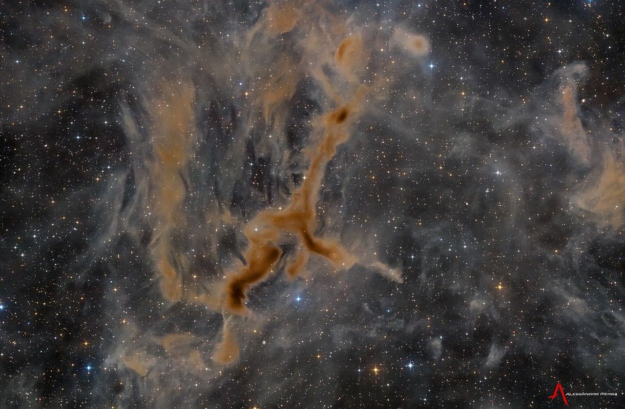 Stellar Obscuration: Deep Space Analysis of LDN 1295
