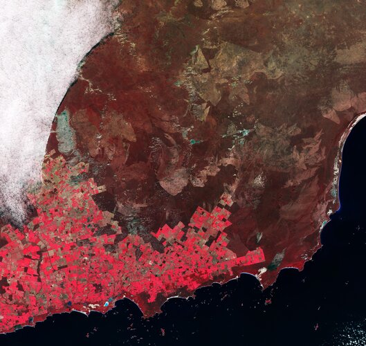 Orbital Analysis: Agricultural Patchwork Observed via Sentinel