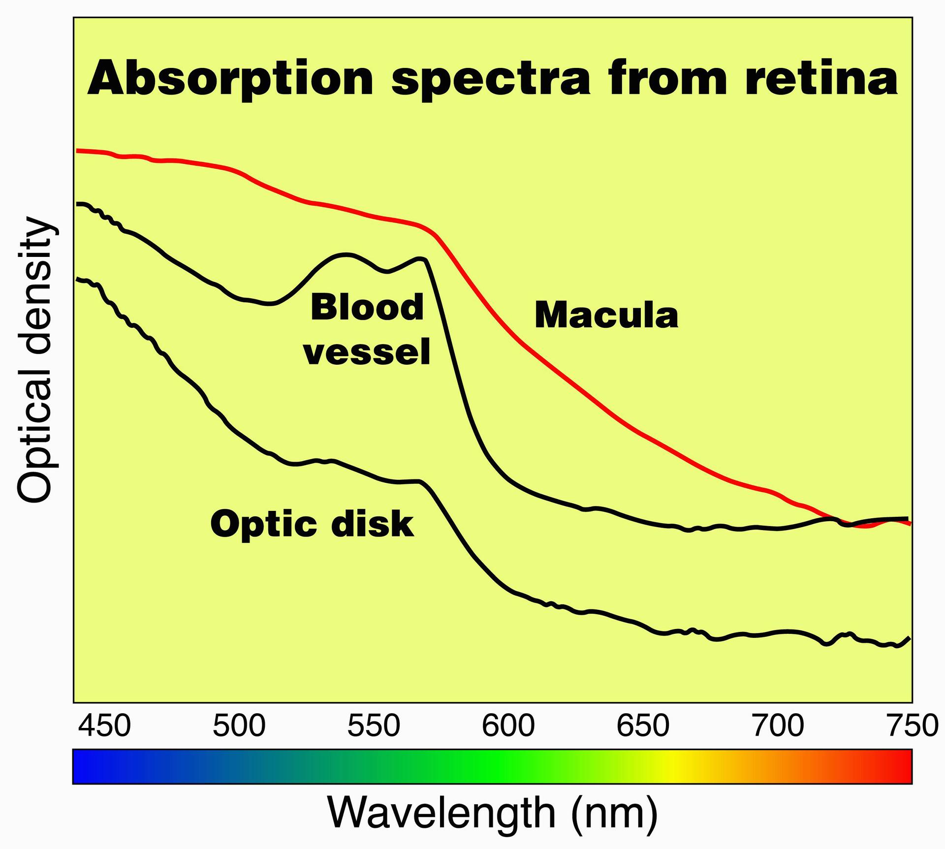 Hyperspectral Enforcement: Kuva Space Unmasks Illegal Poppy Fields