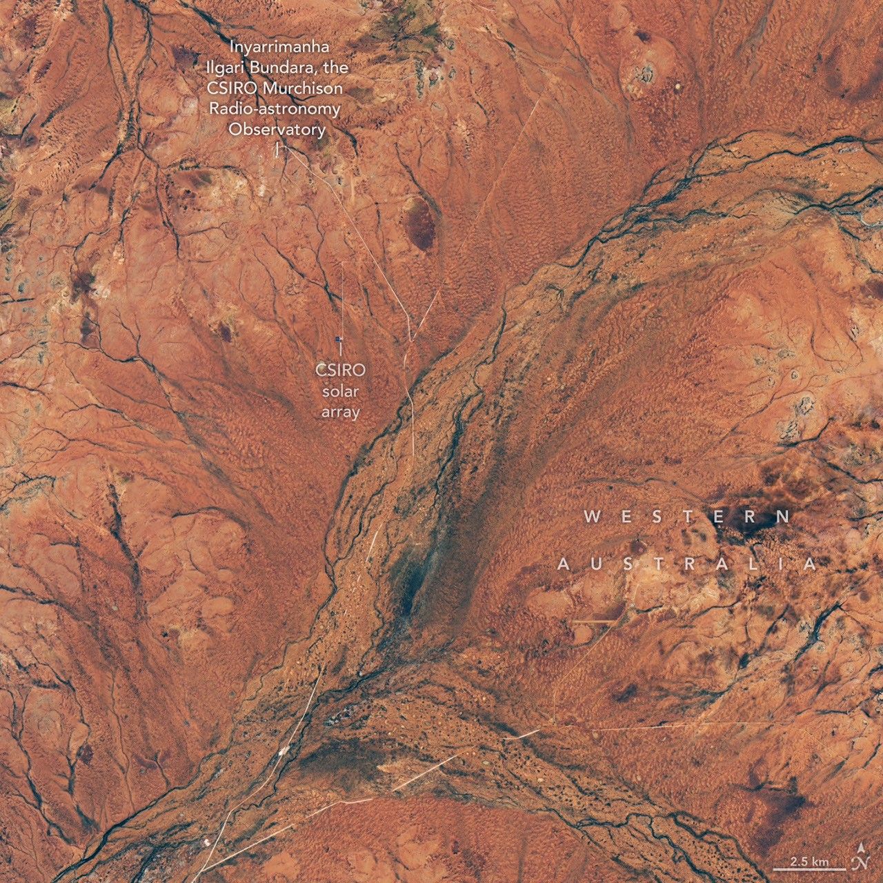 Orbital Analysis: The Desert Bloom Phenomenon