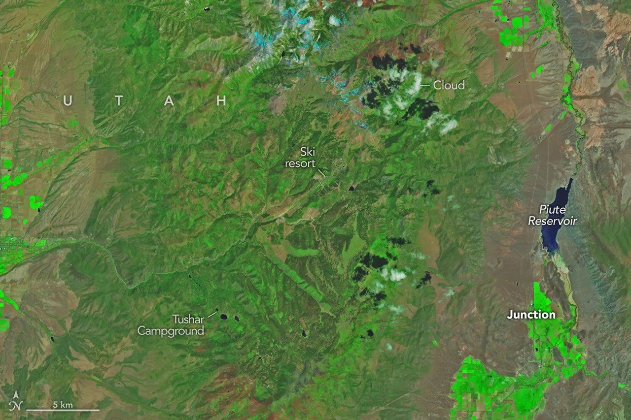 Orbital Analysis: Cottonwood Fire Scarring Utah Sector