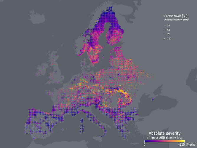 Orbital Data Confirms Accelerating European Forest Biomass Loss