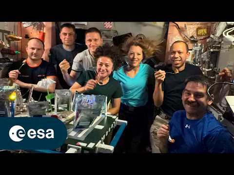 Logistics Analysis: From French Soil to Orbital Plate