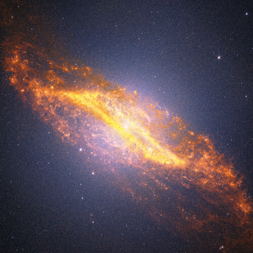 ESA VISUAL LOG: JULY 06-10, 2026