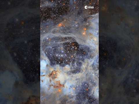 Imaging the Superbubble: Deep Scan of Nebula N44