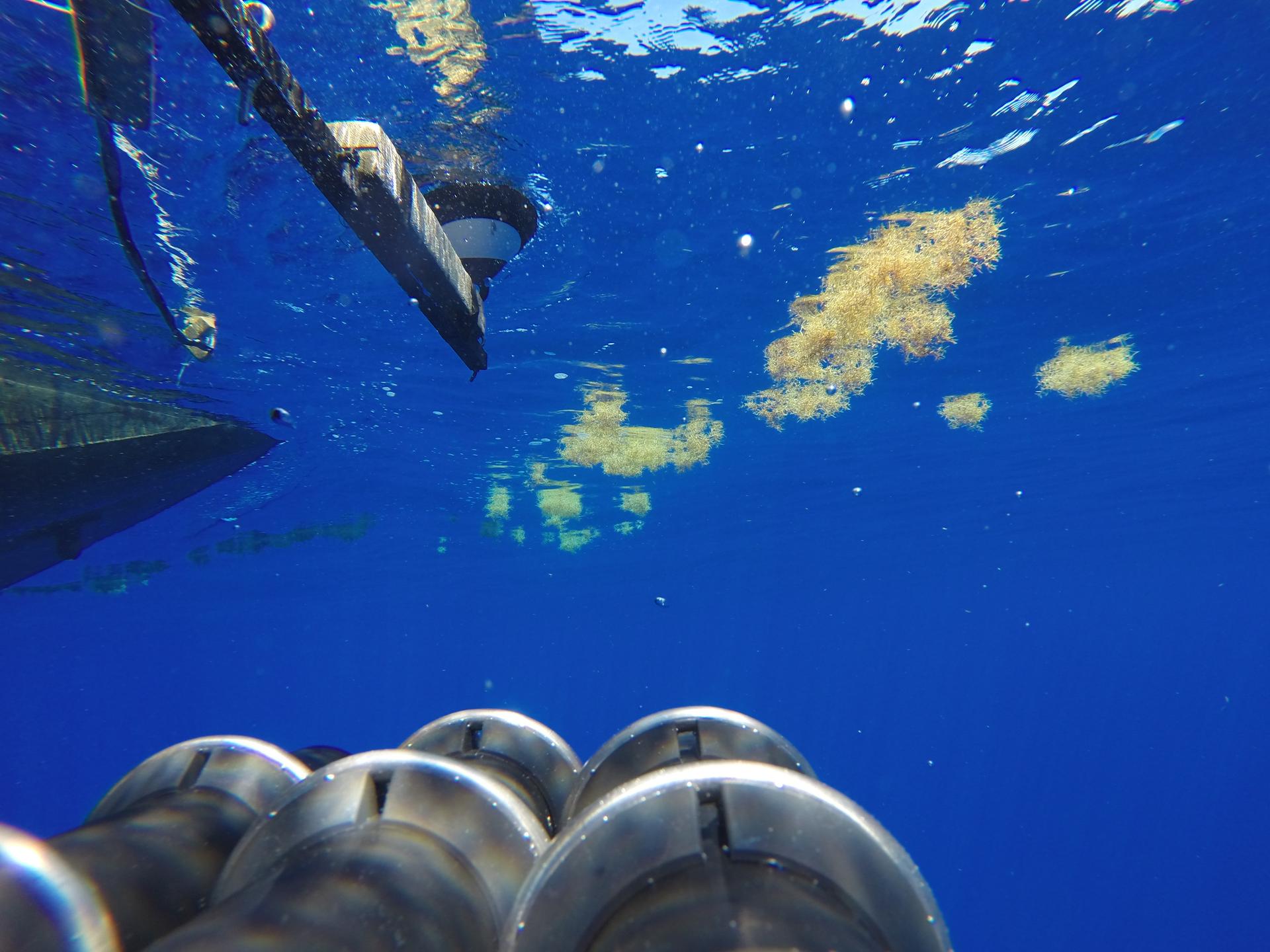 NASA DEPLOYS OCEAN MONITORING DATA FOR PUBLIC ENGAGEMENT