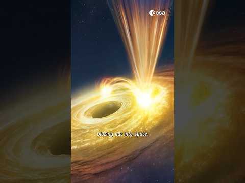 Universal Dynamics: Supermassive Black Holes Mimic Solar Activity