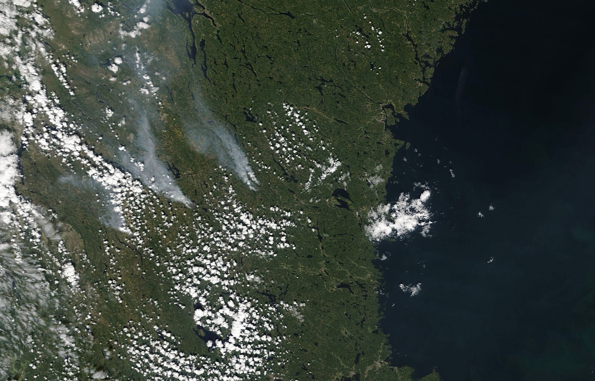 Europe’s Scorching Summer