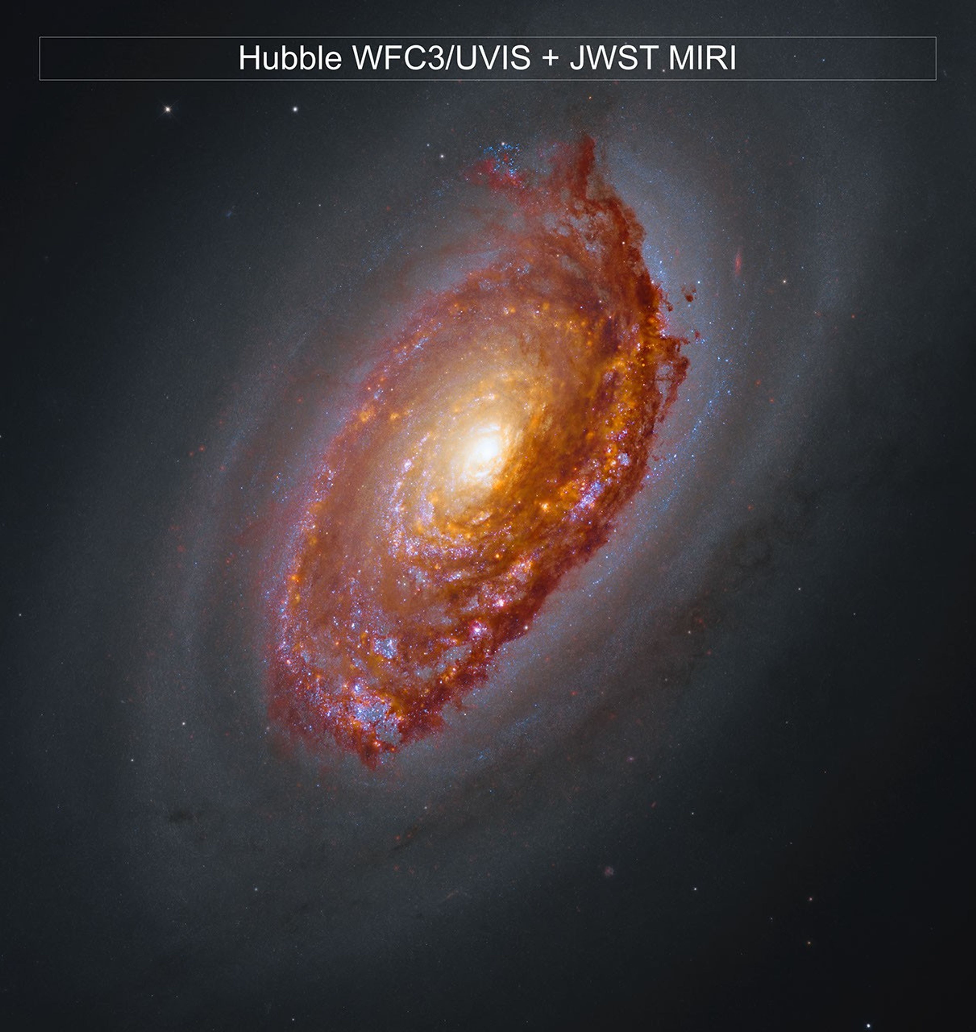 Webb Captures High-Resolution Core Dynamics of M64 Galaxy