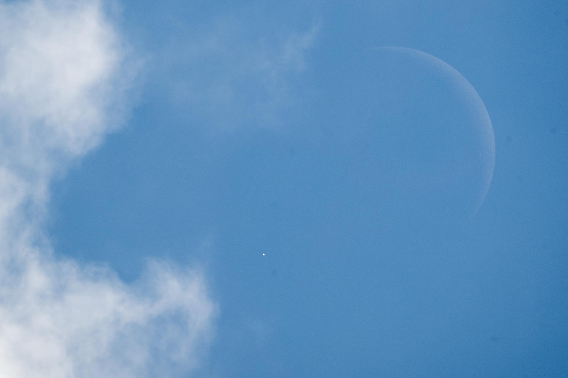 Orbital Alignment: Lunar Occultation of Venus Observed