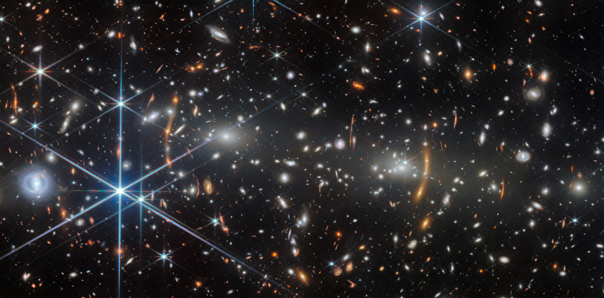 Young Galaxy Cluster
