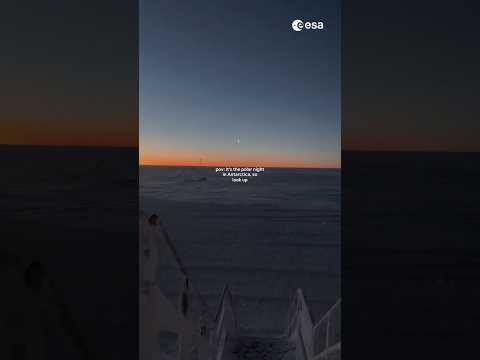 AURORAL SURVEILLANCE: LIFE UNDER THE ANTARCTIC POLAR NIGHT