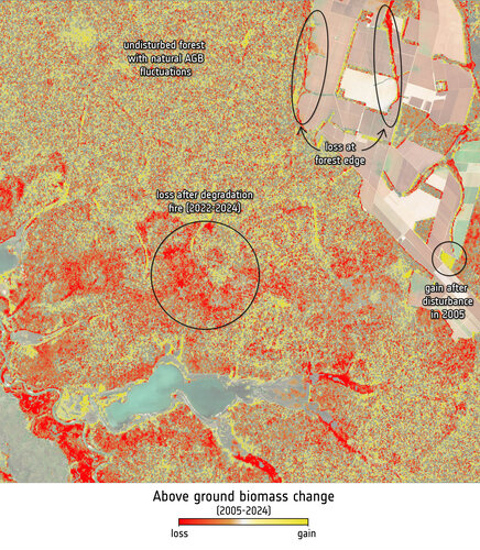 Orbital Data Exposes Gap in Global Forest Carbon Reporting