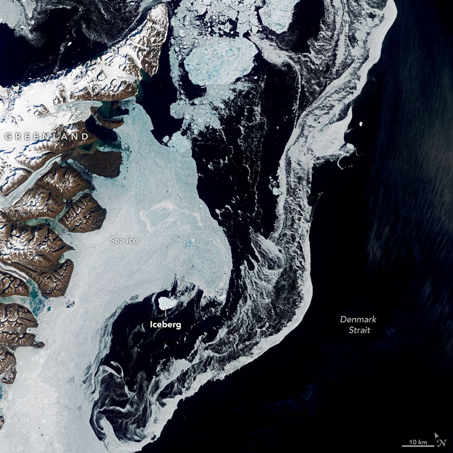 An Uncommon Drifter in the Denmark Strait