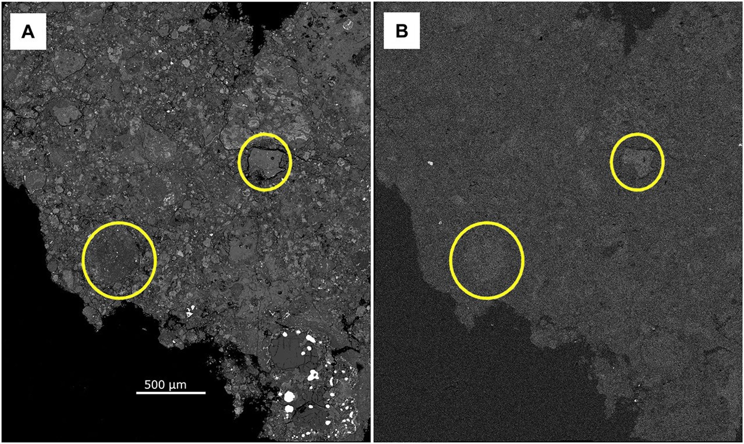 Carbonaceous Record: Analyzing the Pristine Winchcombe Meteorite