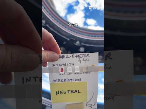 Orbital Olfaction: The Atmospheric Profile of the ISS