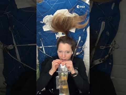 Low-Earth Orbit: Nightly Cycles on the ISS