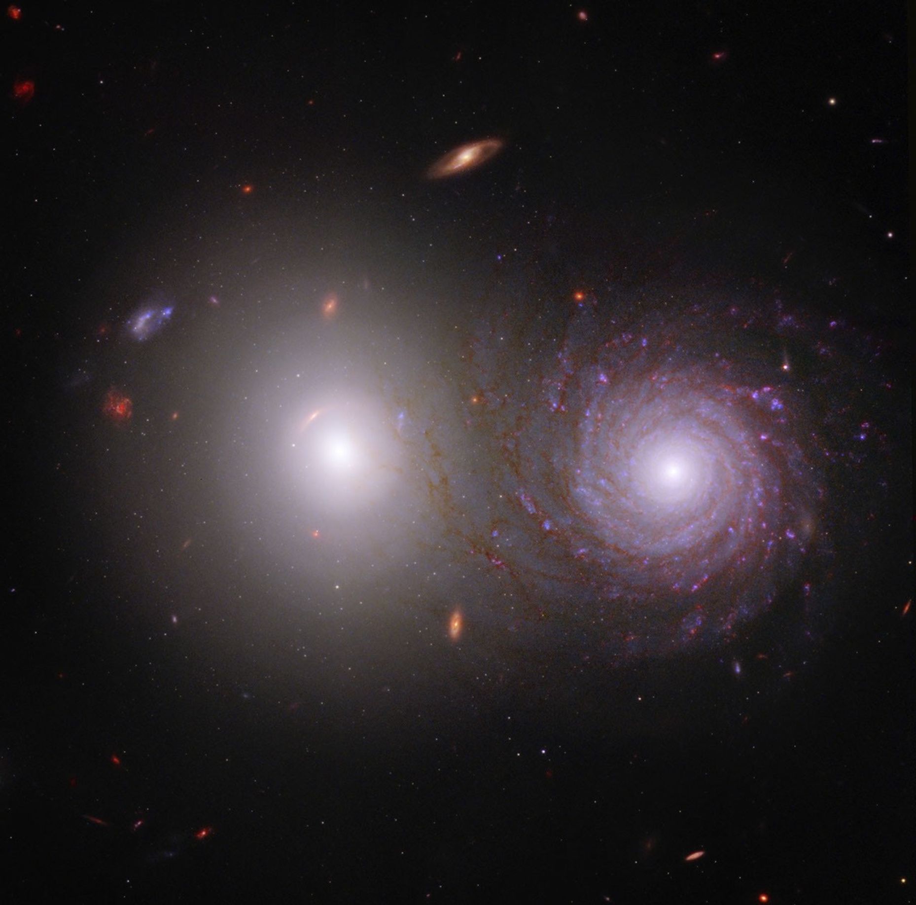 DATA RECONNAISSANCE: OVERLAP ZOO TARGETS COSMIC DUST