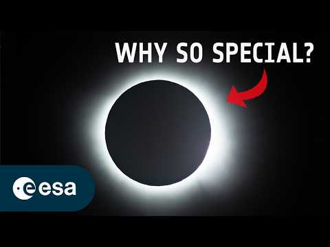 Orbital Geometry: The Mechanics of Total Solar Eclipses