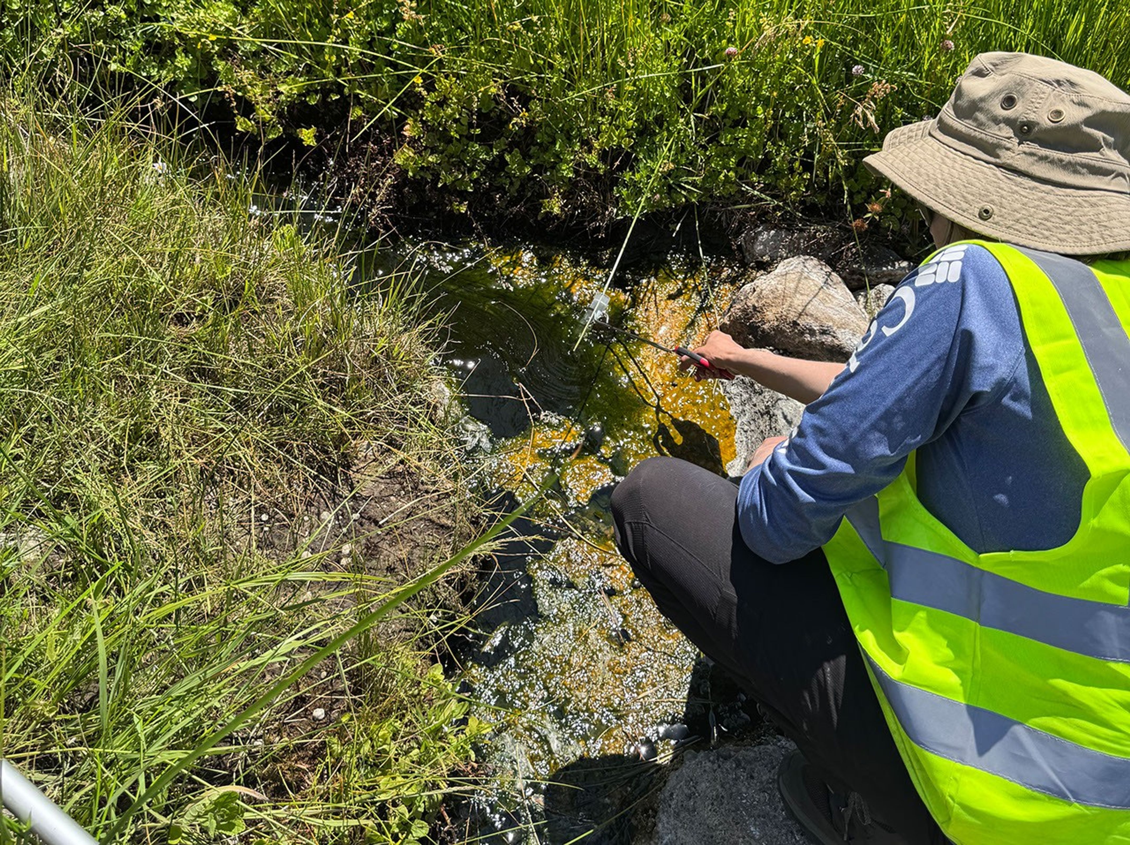 Bio-Persistence: Complex Life Survives Record Thermal Thresholds