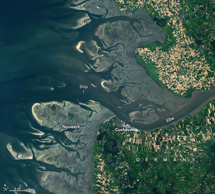 Orbital Analysis: The Hydrodynamics of the Elbe Estuary