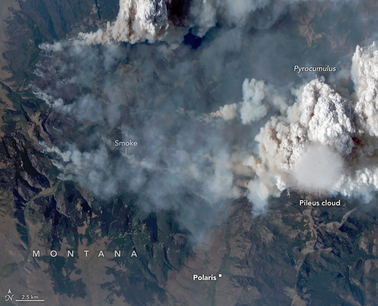Atmospheric Anomaly: Pyrocumulus Formation Captures Pileus Cap